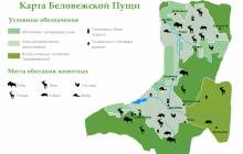 Карта Беловежской Пущи