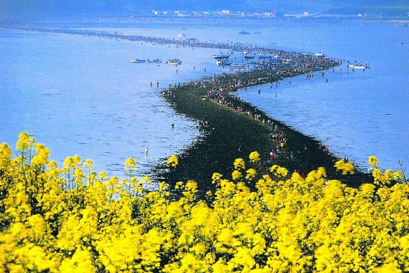 Природное чудо Моисея и фестиваль Разделение моря