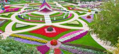 Парк цветов в ОАЭ Al Ain Paradise
