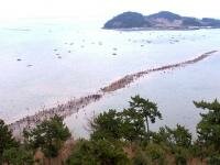 Природное чудо Моисея и фестиваль Разделение моря Природное чудо Моисея и фестиваль Разделение моря