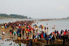 Природное чудо Моисея и фестиваль Разделение моря Природное чудо Моисея и фестиваль Разделение моря