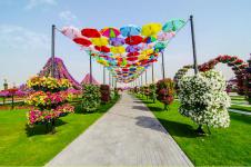 Дубайский Чудо парк Dubai Miracle Garden