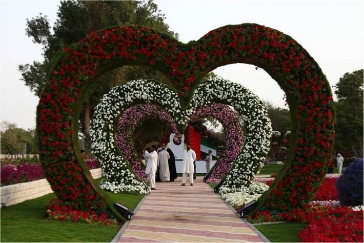 ���� ������ ������ � ���