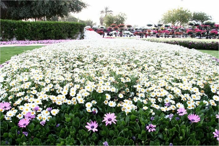 ���� ������ ������ � ���