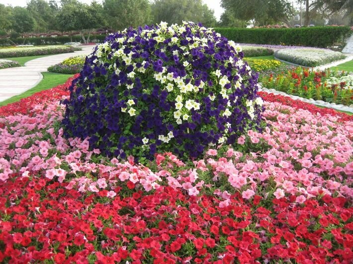 ���� ������ ������ � ���