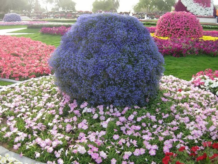 ���� ������ ������ � ���