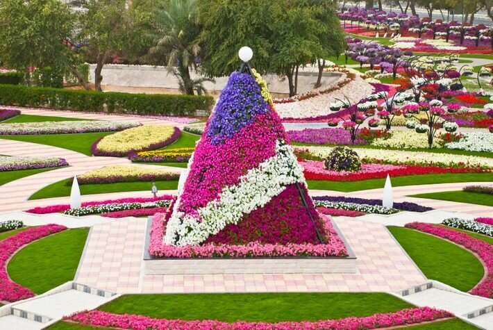 ���� ������ ������ � ���