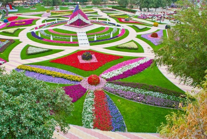 ���� ������ ������ � ���